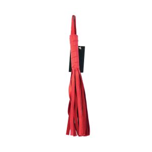 R SoftFlogger red MAIN