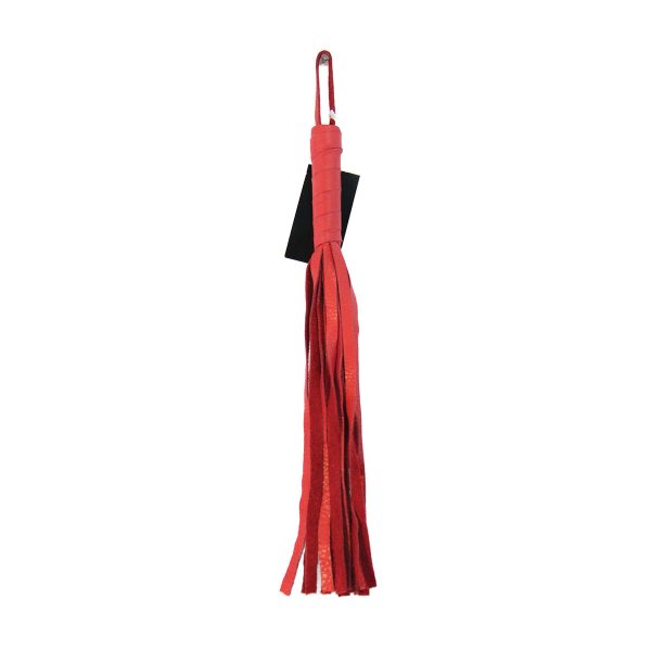 R SoftFlogger red MAIN