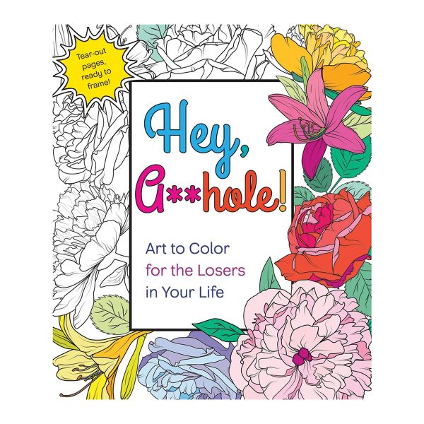 hey asshole coloringbook MAIN